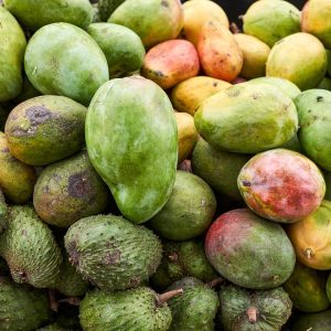 Xoài cát Hòa Lộc