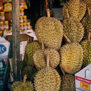 Sầu riêng Ri6 cơm vàng